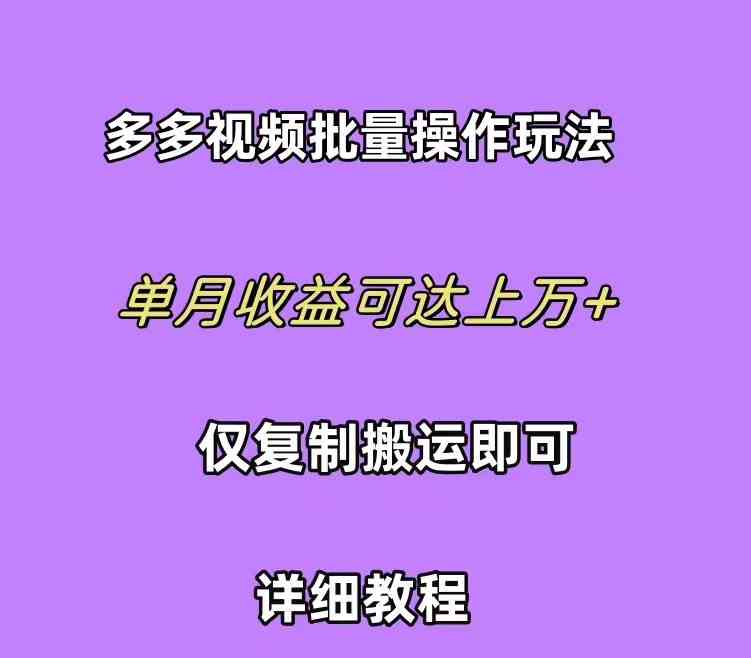 （10029期）拼多多视频带货快速过爆款选品教程 每天轻轻松松赚取三位数佣金 小白必…-耐玩网创