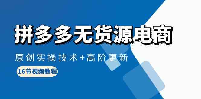 （10015期）拼多多无货源电商，原创实操技术+高阶更新（16节视频教程）-耐玩网创