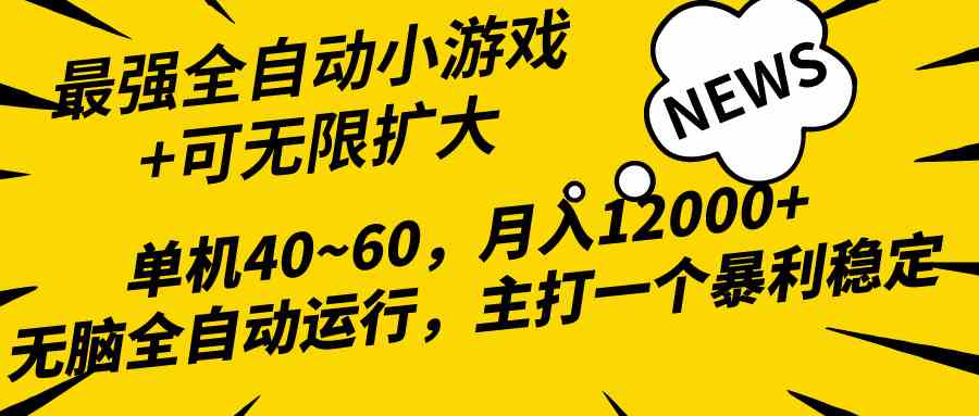 （10046期）2024最新全网独家小游戏全自动，单机40~60,稳定躺赚，小白都能月入过万-耐玩网创