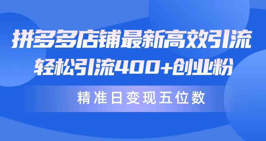 （10041期）拼多多店铺最新高效引流术，轻松引流400+创业粉，精准日变现五位数！-耐玩网创
