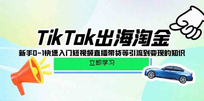 （10035期）TikTok-出海淘金，新手0-1快速入门短视频直播带货等引流到变现的知识-耐玩网创