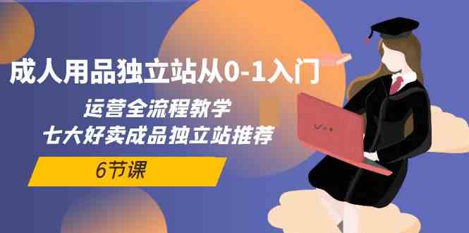 （10082期）成人用品独立站从0-1入门，运营全流程教学，七大好卖成品独立站推荐-6节课-耐玩网创