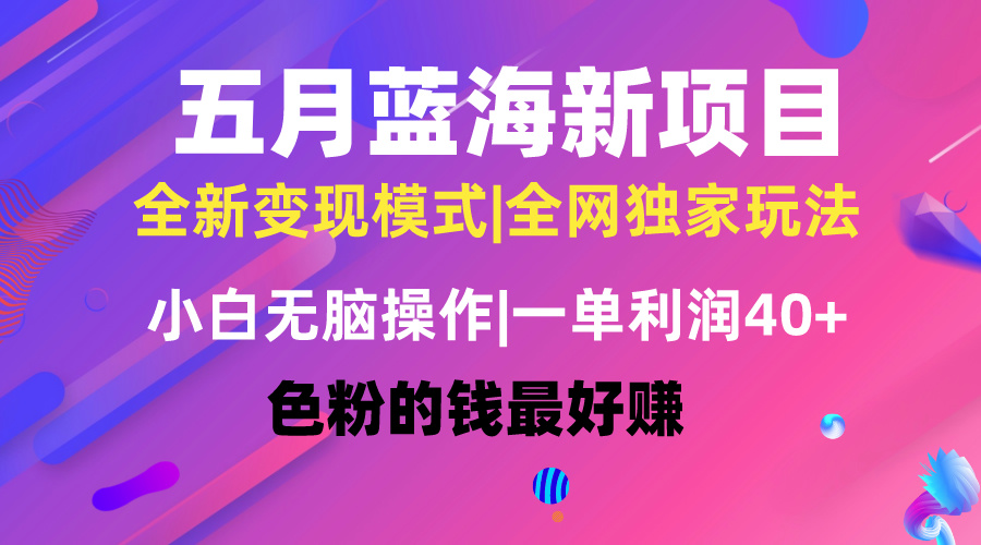 （10477期）五月蓝海项目全新玩法，小白无脑操作，一天几分钟，矩阵操作，月入4万+-耐玩网创