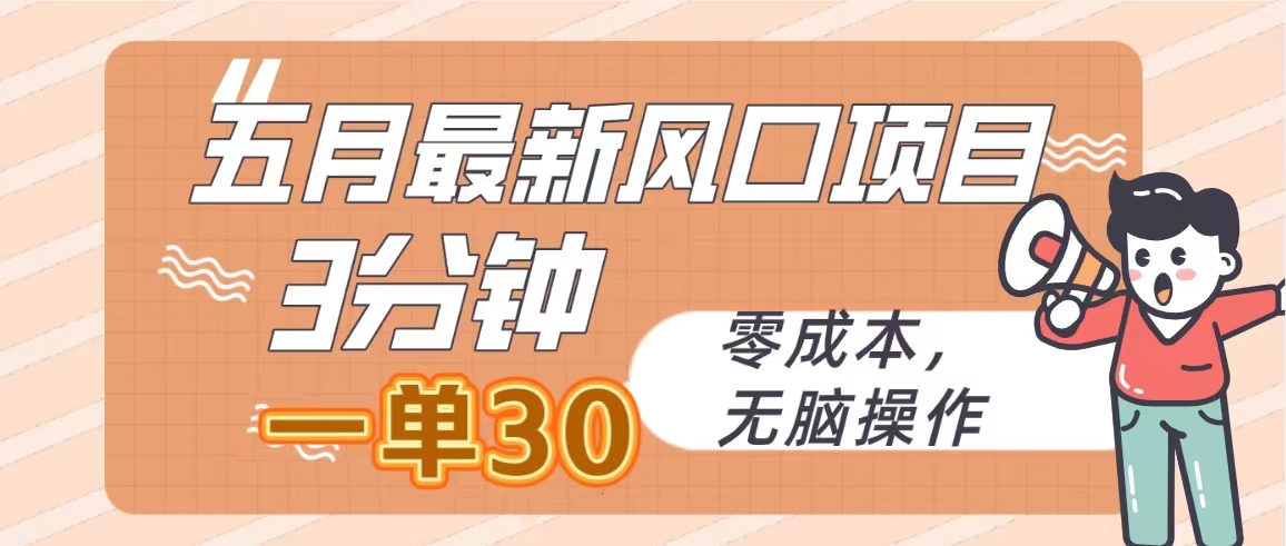 （10256期）五月最新风口项目，3分钟一单30，零成本，无脑操作-耐玩网创
