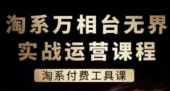 淘系万相台无界实战运营课，淘系付费工具课-耐玩网创
