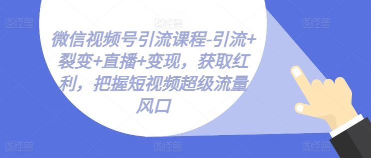 微信视频号引流课程-引流+裂变+直播+变现，获取红利，把握短视频超级流量风口-耐玩网创