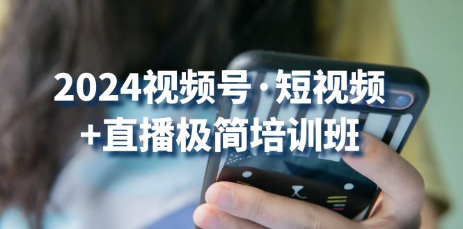 （10797期）2024视频号·短视频+直播极简培训班：抓住视频号风口，流量红利-耐玩网创