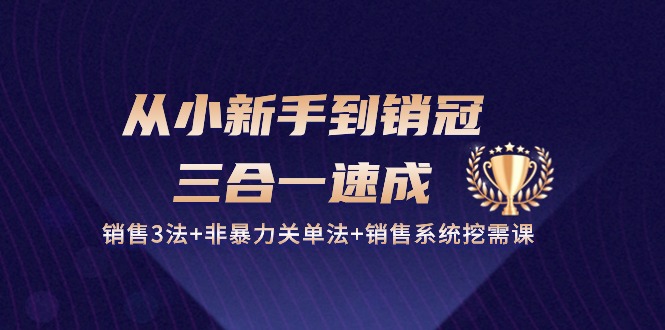 （10799期）从小新手到销冠 三合一速成：销售3法+非暴力关单法+销售系统挖需课 (27节)-耐玩网创