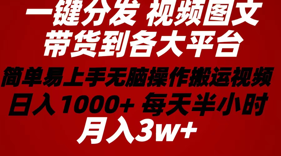 （10667期）2024年 一键分发带货图文视频  简单易上手 无脑赚收益 每天半小时日入1…-耐玩网创