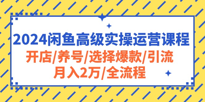 （10711期）2024闲鱼高级实操运营课程：开店/养号/选择爆款/引流/月入2万/全流程-耐玩网创