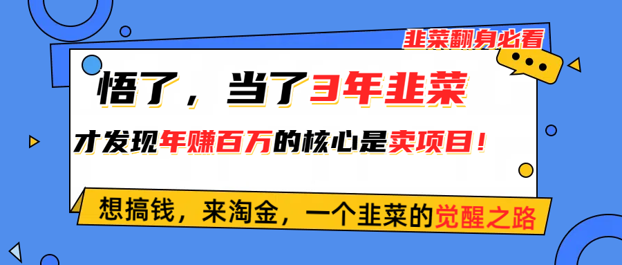 （10759期）悟了，当了3年韭菜，才发现网赚圈年赚100万的核心是卖项目，含泪分享！-耐玩网创