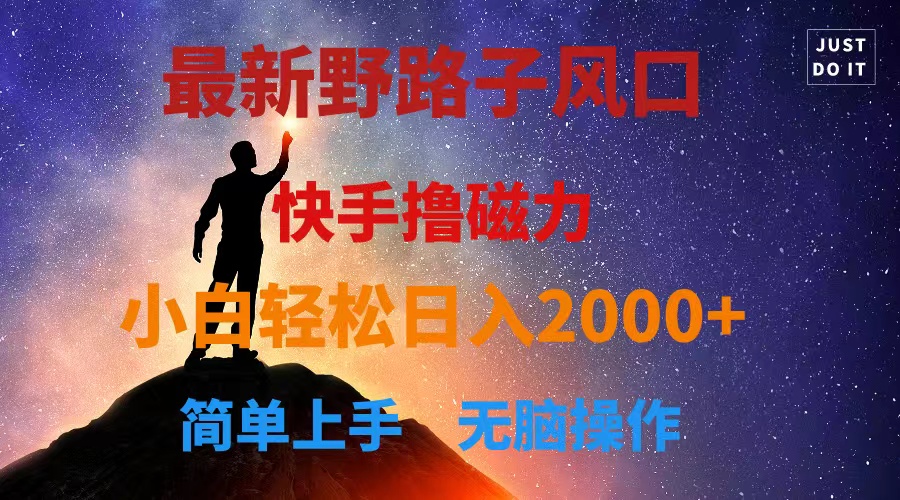 （10754期）最新风口！快手撸磁力，野路子，小白无脑操作日入2000+-耐玩网创