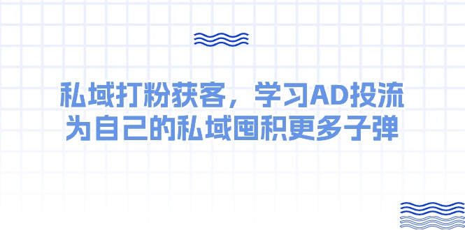 （10728期）某收费课：私域打粉获客，学习AD投流，为自己的私域囤积更多子弹-耐玩网创