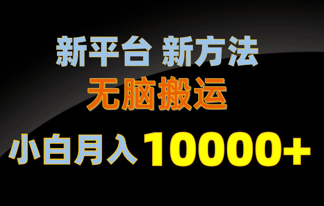（10605期）新平台新方法，无脑搬运，月赚10000+，小白轻松上手不动脑-耐玩网创
