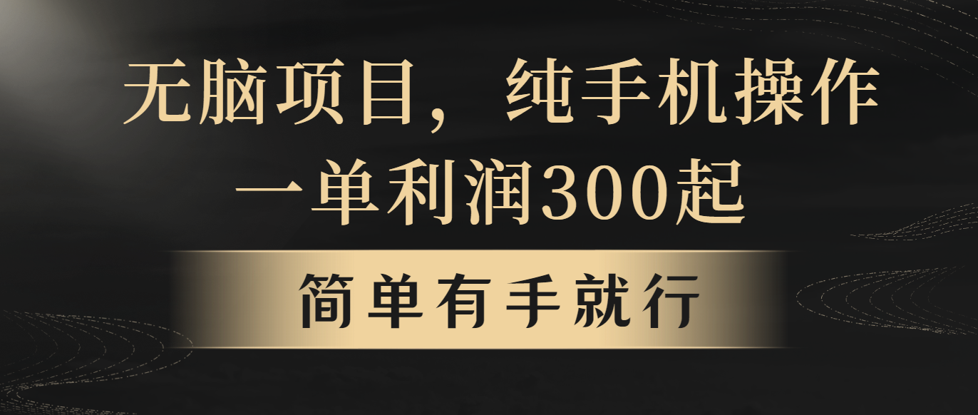 （10589期）无脑项目，一单几百块，轻松月入5w+，看完就能直接操作-耐玩网创