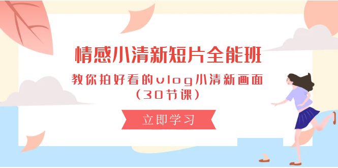 （10567期）情感 小清新短片-全能班，教你拍好看的vlog小清新画面 (30节课)-耐玩网创