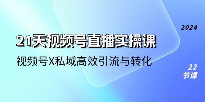 （10966期）21天-视频号直播实操课，视频号X私域高效引流与转化（22节课）-耐玩网创