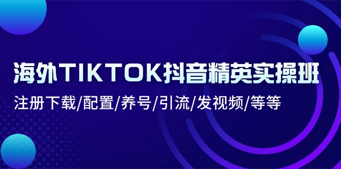 （10998期）海外TIKTOK抖音精英实操班：注册下载/配置/养号/引流/发视频/等等-耐玩网创