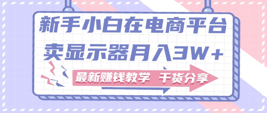 （11053期）新手小白如何做到在电商平台卖显示器月入3W+，最新赚钱教学干货分享-耐玩网创