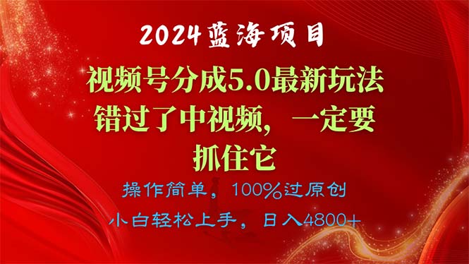 （11032期）2024蓝海项目，视频号分成计划5.0最新玩法，错过了中视频，一定要抓住…-耐玩网创