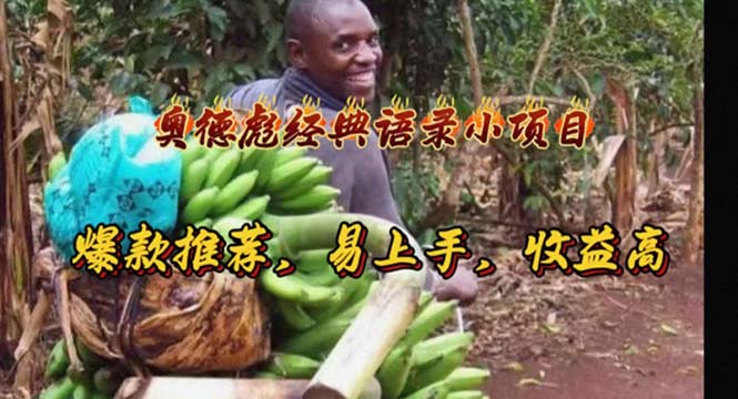 （11030期）奥德彪经典语录小项目，爆款推荐，易上手，收益高-耐玩网创