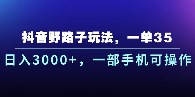 （10909期）抖音野路子玩法，一单35.日入3000+，一部手机可操作-耐玩网创
