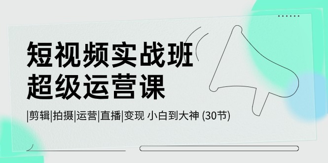 （10836期）短视频实战班-超级运营课，|剪辑|拍摄|运营|直播|变现 小白到大神 (30节)-耐玩网创