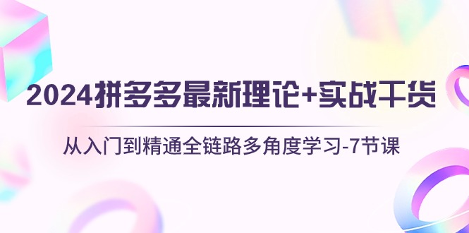 （10816期）2024拼多多 最新理论+实战干货，从入门到精通全链路多角度学习-7节课-耐玩网创