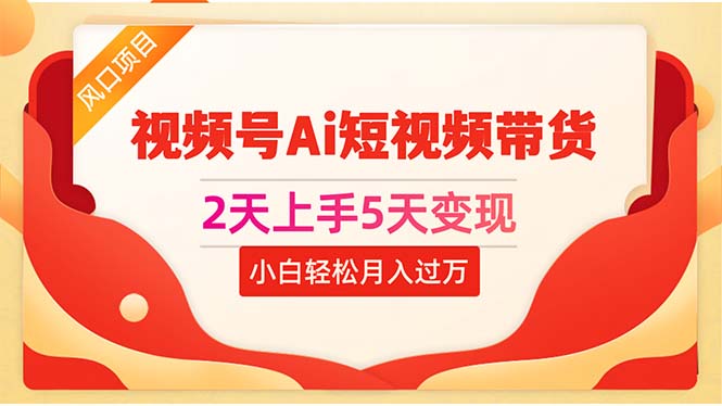 （10807期）2天上手5天变现视频号Ai短视频带货0粉丝0基础小白轻松月入过万-耐玩网创