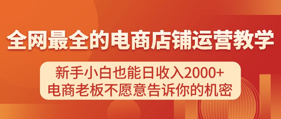 （11266期）电商店铺运营教学，新手小白也能日收入2000+，电商老板不愿意告诉你的机密-耐玩网创