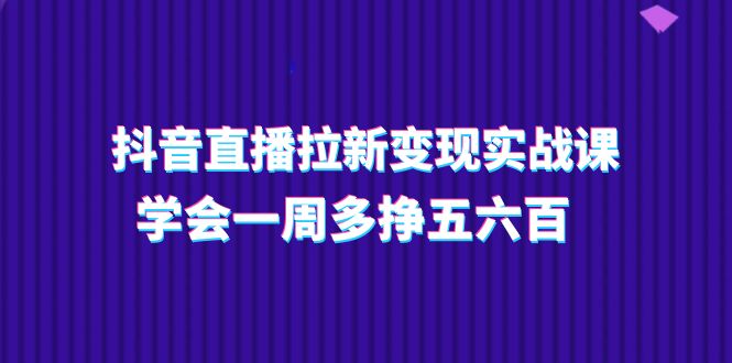 （11254期）抖音直播拉新变现实操课，学会一周多挣五六百（15节课）-耐玩网创