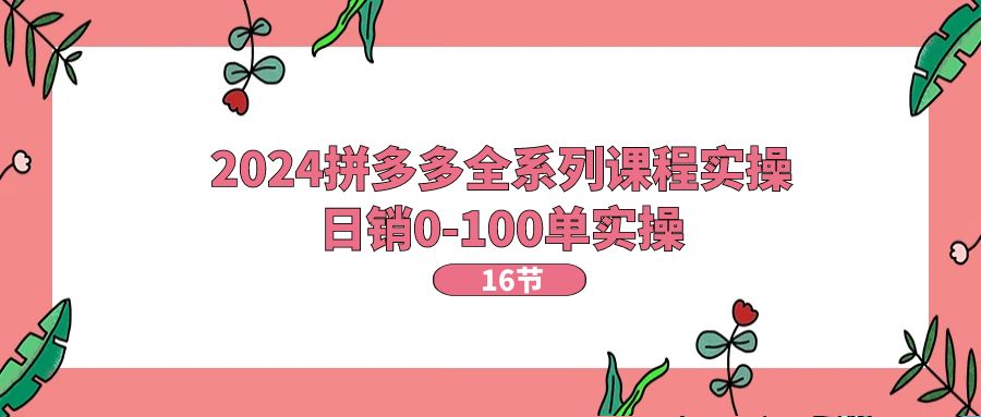 （11222期）2024拼多多全系列课程实操，日销0-100单实操【16节课】-耐玩网创