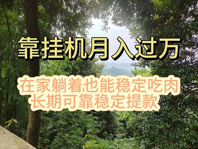 （11144期）挂机掘金，日入1000+，躺着也能吃肉，适合宝爸宝妈学生党工作室，电脑…-耐玩网创