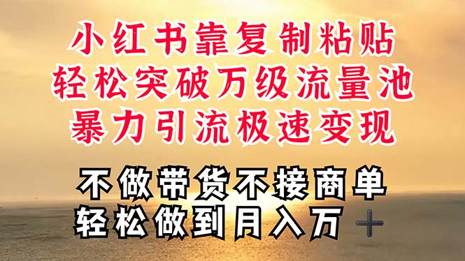 （11139期）深层揭秘小红书，靠复制粘贴，一周突破万级流量池，无脑搬运，暴力引流…-耐玩网创