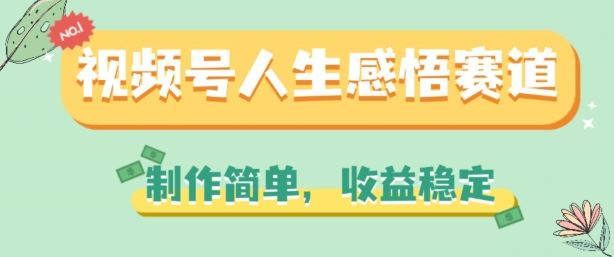 视频号人生感悟赛道，制作简单，收益稳定【揭秘】-耐玩网创