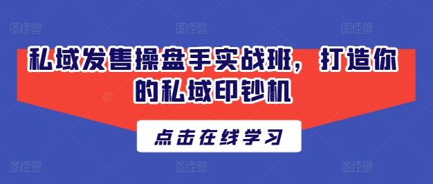 私域发售操盘手实战班，打造你的私域印钞机-耐玩网创