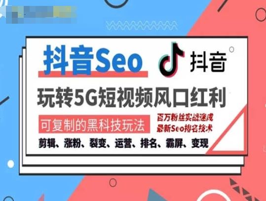 抖音SEO引流培训课程-抓住抖音风口，实现搜索排名，获取精准流量，快速成交变现-耐玩网创