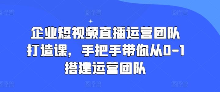 企业短视频直播运营团队打造课，手把手带你从0-1搭建运营团队-耐玩网创