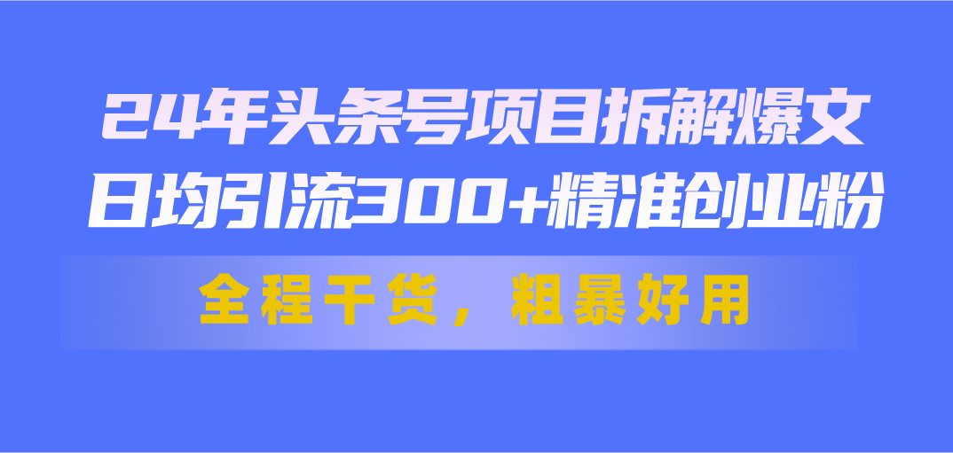 （11397期）24年头条号项目拆解爆文，日均引流300+精准创业粉，全程干货，粗暴好用-耐玩网创