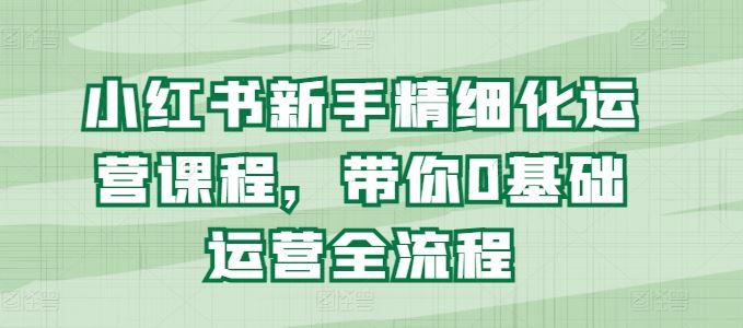 小红书新手精细化运营课程，带你0基础运营全流程-耐玩网创