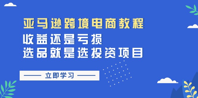 （11432期）亚马逊跨境电商教程：收益还是亏损！选品就是选投资项目-耐玩网创