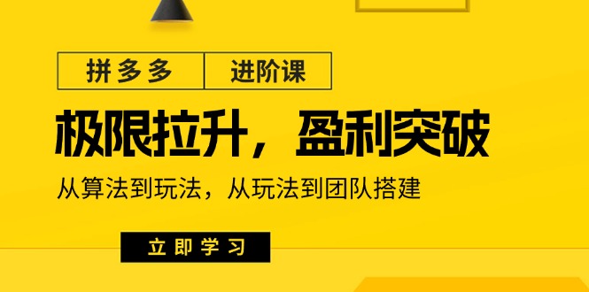 （11435期）拼多多·进阶课：极限拉升/盈利突破：从算法到玩法 从玩法到团队搭建-18节-耐玩网创