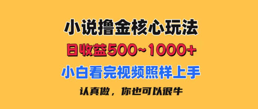 （11461期）小说撸金核心玩法，日收益500-1000+，小白看完照样上手，0成本有手就行-耐玩网创