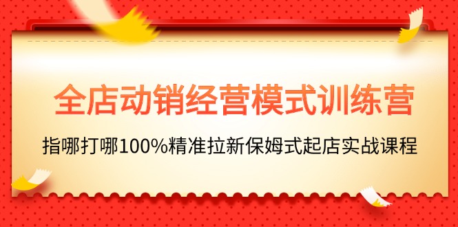 （11460期）全店动销-经营模式训练营，指哪打哪100%精准拉新保姆式起店实战课程-耐玩网创