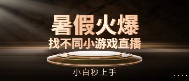 暑假火爆找不同小游戏直播间，小白秒上手【揭秘】-耐玩网创