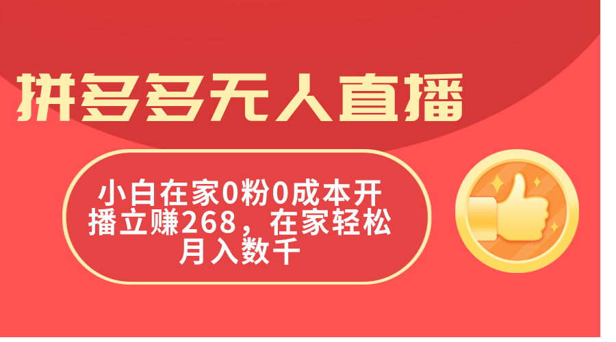 （11521期）拼多多无人直播，小白在家0粉0成本开播立赚268，在家轻松月入数千-耐玩网创