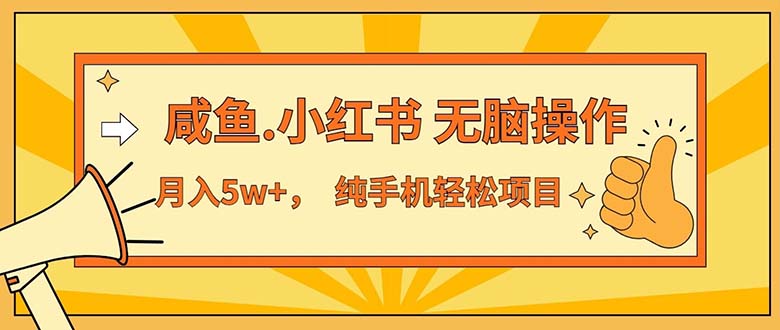 （11524期）2024最赚钱的项目，咸鱼，小红书无脑操作，每单利润500+，轻松月入5万+…-耐玩网创