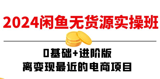 （11535期）2024闲鱼-无货源实操班：0基础+进阶版，离变现最近的电商项目（15节）-耐玩网创