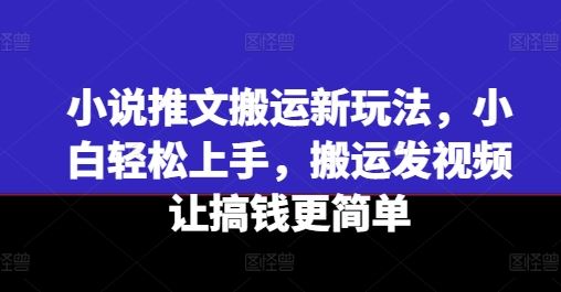 小说推文搬运新玩法，小白轻松上手，搬运发视频让搞钱更简单-耐玩网创