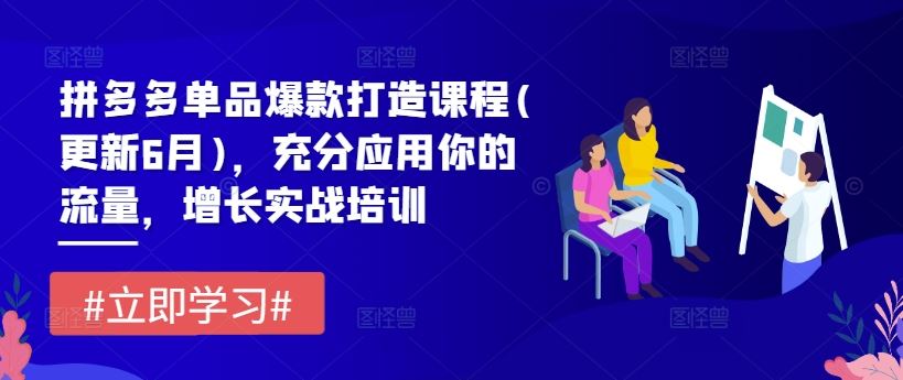拼多多单品爆款打造课程(更新6月)，充分应用你的流量，增长实战培训-耐玩网创